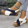 Navy White