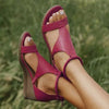 Fuchsia